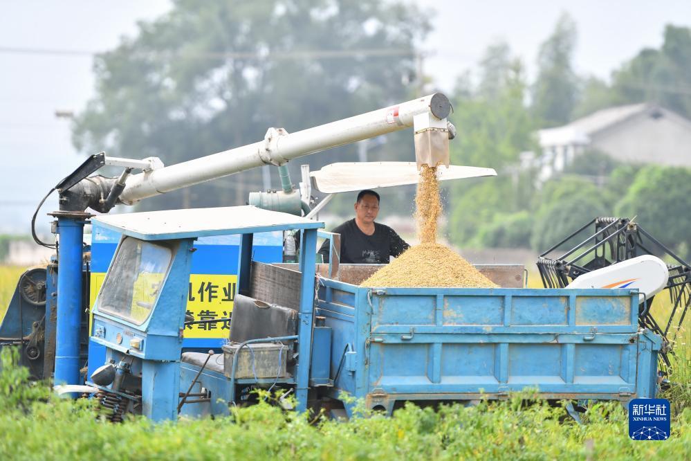 红心游戏大厅怎么下载